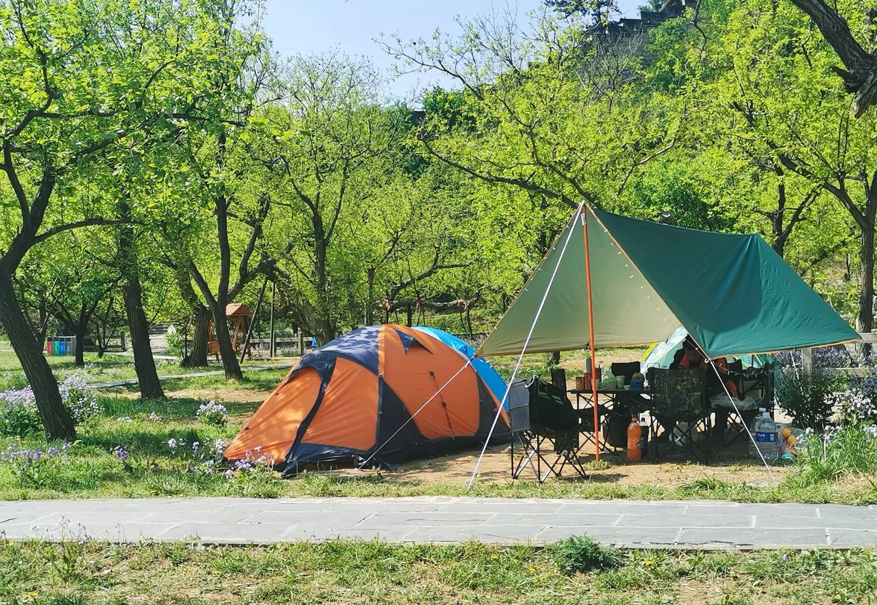 我最喜欢的帐篷图片